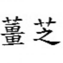 薑芝
