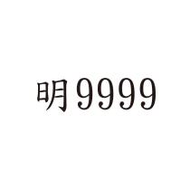 明 9999