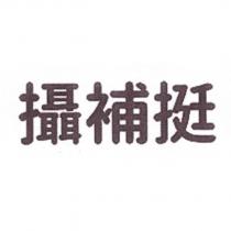 攝補挺