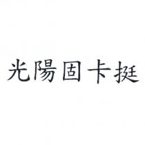 光陽固卡挺