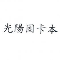 光陽固卡本
