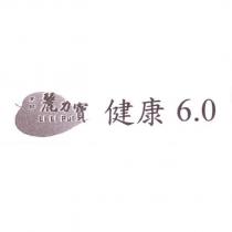 東紘麗力寶 Li Li Pul 健康 6.0 及圖