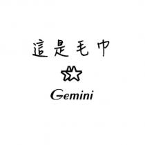 這是毛巾 Gemini 及圖