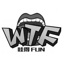 WTF 哇得 FUN 及圖