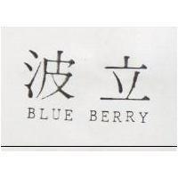 波立 BLUE BERRY 