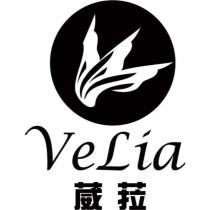 葳菈 VeLia 及圖