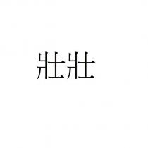 壯壯