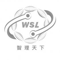 智理天下 WSL 及圖