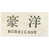 豪洋 HURRICANE 