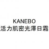 KANEBO / 活力肌密光澤日霜