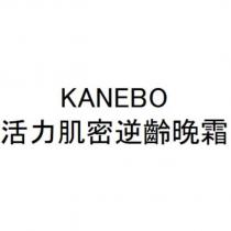 KANEBO / 活力肌密逆齡晚霜