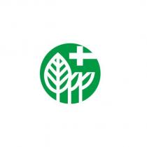 杉控股公司標章圖
