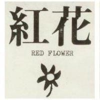 紅花及圖 RED FLOWER