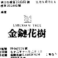 金鏈花樹 LABURNUM TREE 及圖 