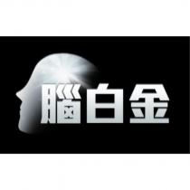 腦白金及圖