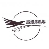 黑翅鳶農場及圖