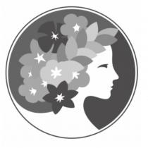 寶雅國際股份有限公司標章圖