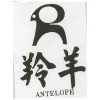 羚羊及圖 ANTELOPE 