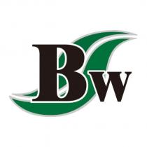 BW 及圖