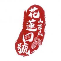 花蓮四號山苦瓜及圖
