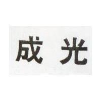 成光