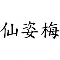 仙姿梅