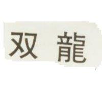 双龍