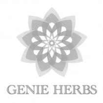 GENIE HERBS 及圖