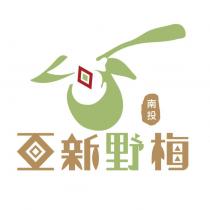 南投亞新野梅及圖