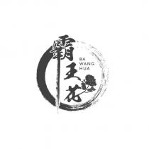 霸王花 BA WANG HUA 及圖