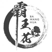 霸王花 BA WANG HUA 及圖