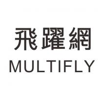 飛躍網 MULTIFLY