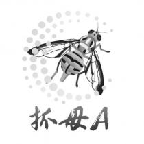 抓母 A 及圖