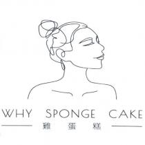 WHY SPONGE CAKE 雞蛋糕及圖