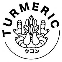 TURMERIC ウコン及圖
