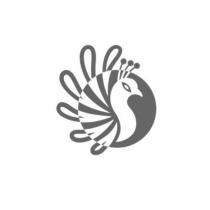孔雀設計圖