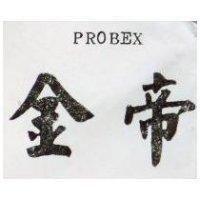 金帝 PROBEX 