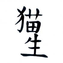 猫生