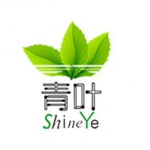 青葉Shine Ye 及圖