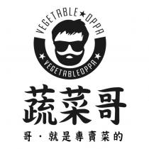 蔬菜哥 VEGETABLE OPPA 及圖