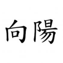 向陽
