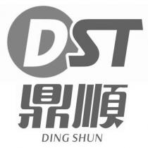 鼎順 DING SHUN DST 及圖