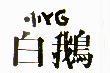 白鵝小 YG 