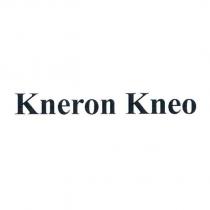 Kneron Kneo