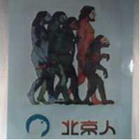 北京人及圖