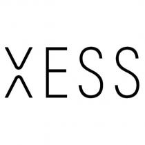 XESS 設計字