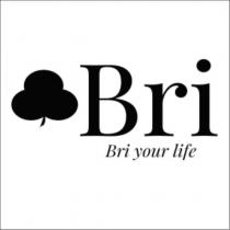 Bri 及圖