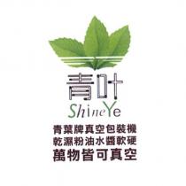 青葉 Shine Ye 及圖