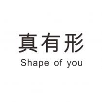 真有形 shape of you