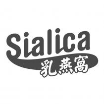 乳燕窩 Sialica 及圖